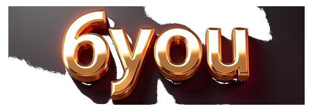 6you logo